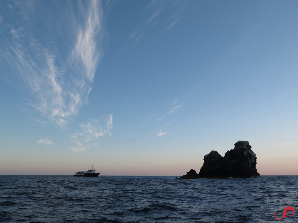 Nautilus Undersea at Rocas Alijos © Sten Johansson