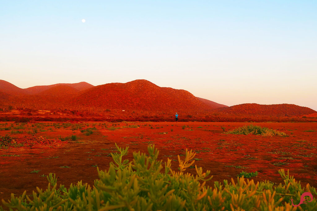 An alternative running track in the time of the coronavirus © Sten Johansson