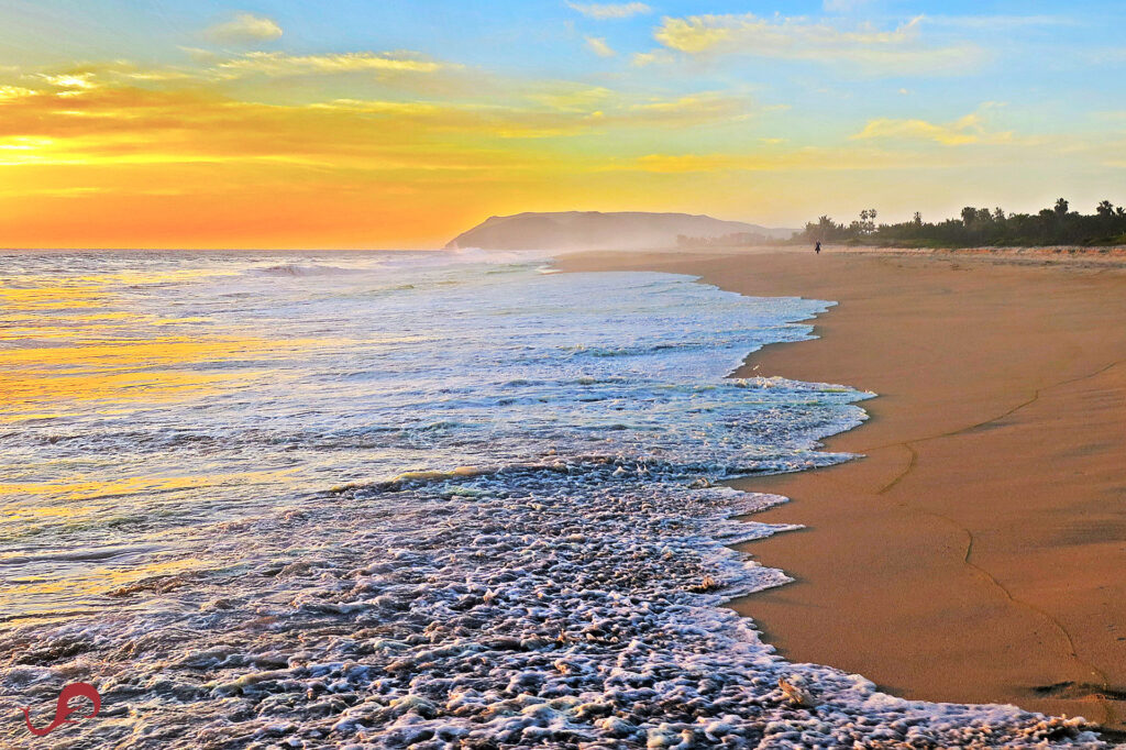 Running on the Pacific coast © Sten Johansson