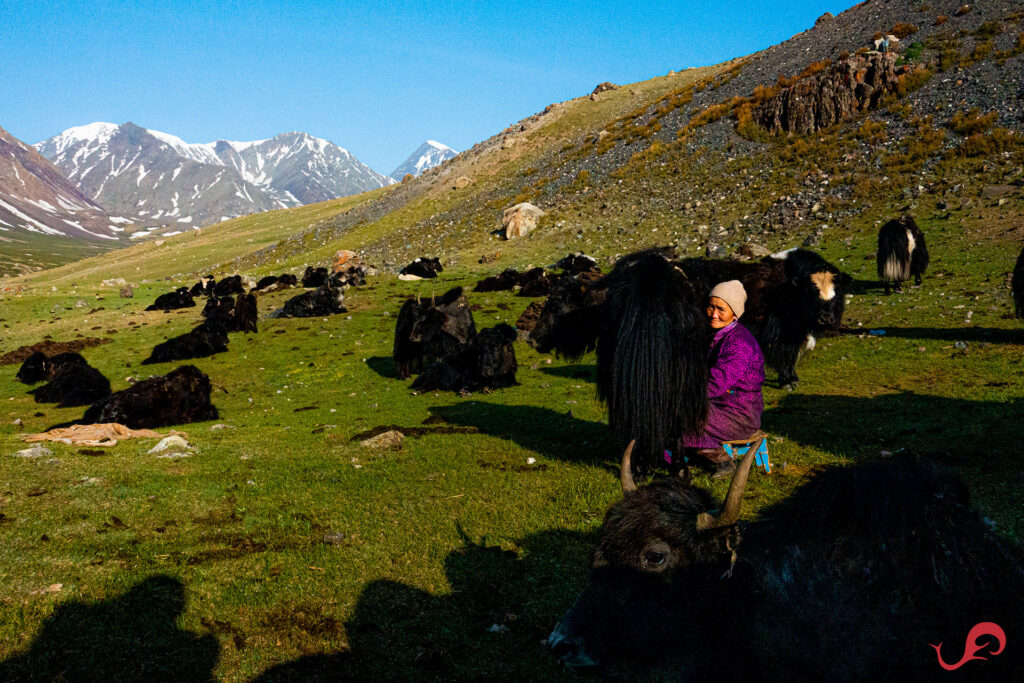 Mongolian dairy © Sten Johansson