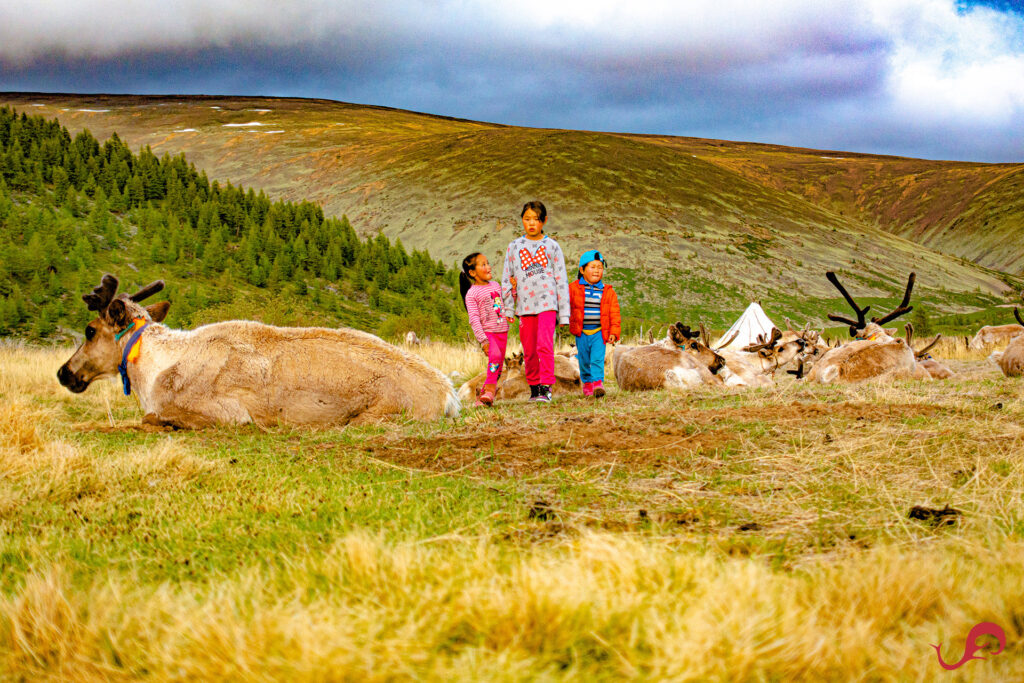 The reindeer kids © Sten Johansson