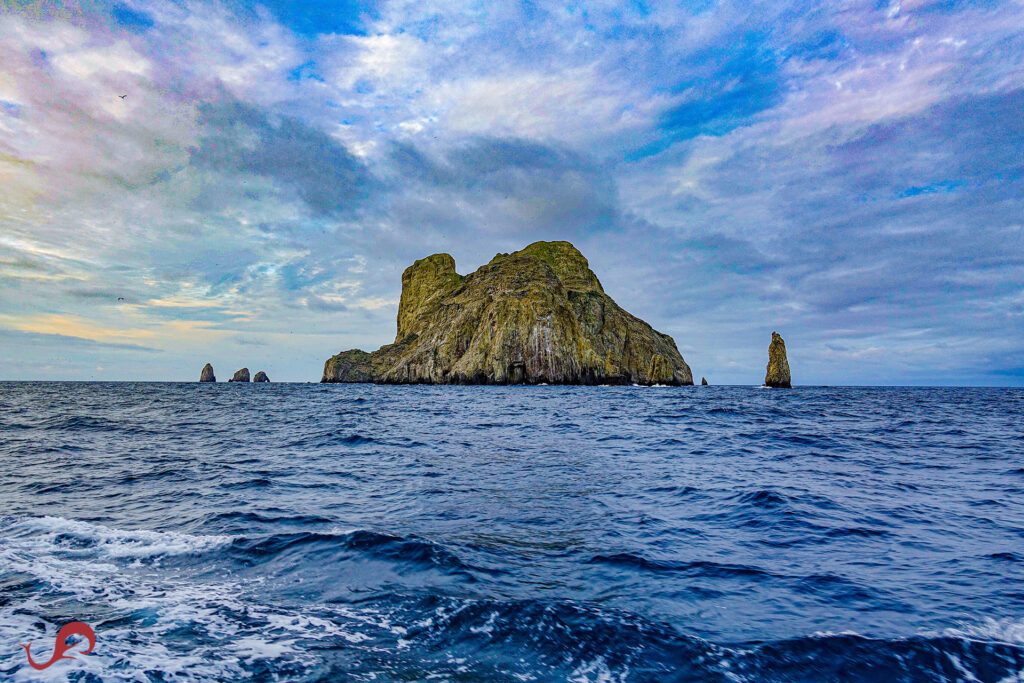 Malpelo Island 2024 © Sten Johansson