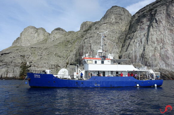 Ferox liveaboard boat in Malpelo © Sten Johansson