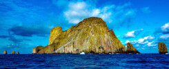 Malpelo and its life underwater © Sten Johansson