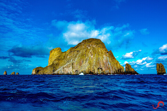 Malpelo and its life underwater © Sten Johansson