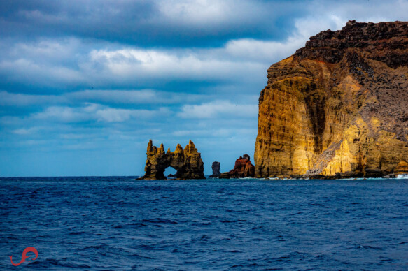 The Cathedral at Clarion, Revillagigedo archipelago