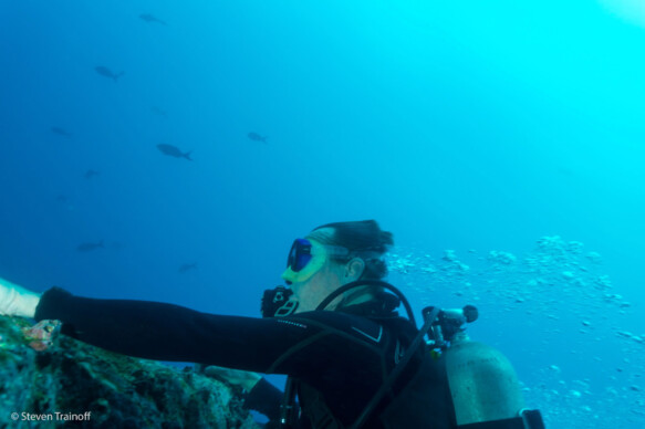 Having a bad hair day in Malpelo - courtesy of Steven Trainoff ©