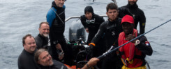 First group of my Malpelo trip 2022 © Sten Johansson